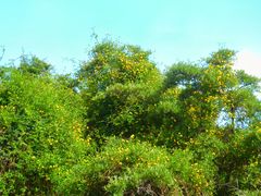 -墨石公园景区