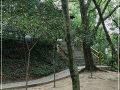 -上海佘山国家森林公园天马山园