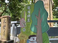 -天目山大树王景区