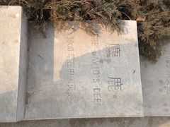 -北京麋鹿生态实验中心