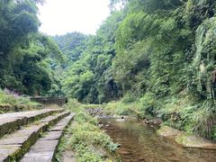 -芦沟竹海