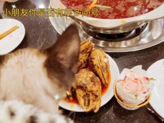 兔头-冯记香辣兔火锅(茶店子总店)
