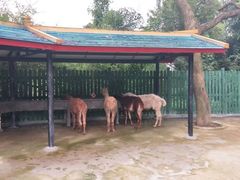 -紫马岭公园