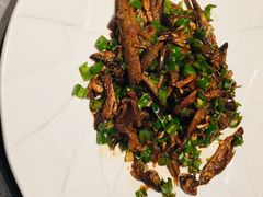 -凤凰湘语·湘粤鲜融(浦东旗舰店)