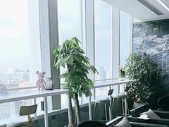 -马泷齿科·成都锦江置略马泷口腔门诊部(IFS国金中心店)