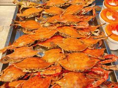 -半岛听涛蒸汽海鲜自助(K11店)