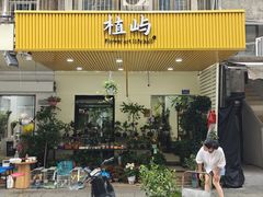 -溪岸路花鸟市场
