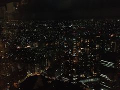 -东京都厅舍