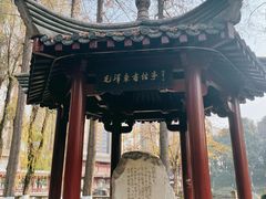 -温江公园