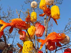 -龙湖星悦荟(颐和店)