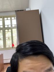 -YESIDO椰岛造型