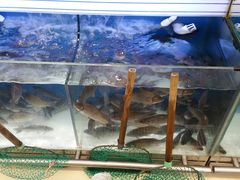 -永辉超市(龙潭寺店)