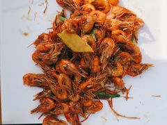 -前小桔亲子创意农场·草莓采摘·露营烧烤