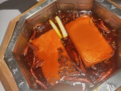 双人锅鸳鸯-蜀九香火锅(九眼桥店)