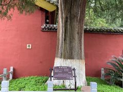 -武侯墓风景区