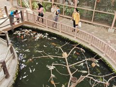 -南宫五洲植物乐园