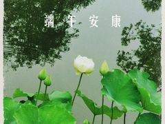 -沧浪亭