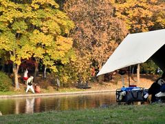 -上海共青森林公园