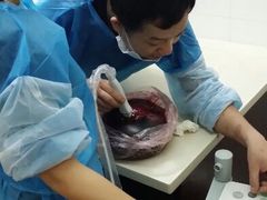 android_upload_pic-甄爱宠物医院(疏影路店)