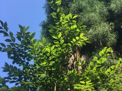 -太阳湾风景区