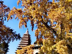 -北京石刻艺术博物馆(五塔寺)