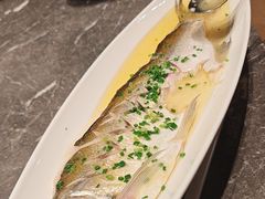 -同庆楼(滨湖万达广场店)