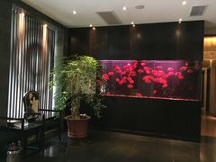 -大唐盲人按摩中心(黄山路店)