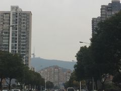 -同庆楼(滨湖万达广场店)
