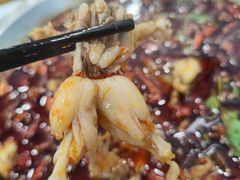 养殖青蛙-老表牌·蛙蛙鸡冷锅鱼(成都东站店)