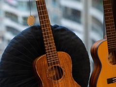 -乐尚音乐空间·钢琴·声乐·架子鼓(会展中心店)