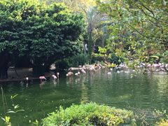 -九龙公园