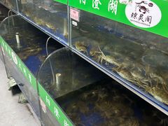-阳澄湖大闸蟹·琼灵阁牌品牌连锁(吴中总店)