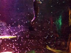 -沈阳海洋探索中心