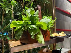 -牛村来人潮汕牛肉火锅(西单店)