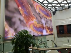 -79号渔船海鲜饭店(宝安店)
