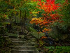 -九如山休闲旅游度假区