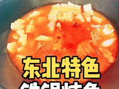 -老刘生态大鱼坊铁锅炖鱼(赛马场店)