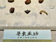 -汕头市博物馆