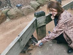 -费瑟代尔野生动物园