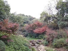 -西湖风景区十里琅珰-五云山