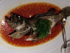 清蒸大海班鱼-红棉中餐厅·广州海航威斯汀酒店