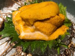 海胆刺身-綱元·海鲜豆捞(明州里店)