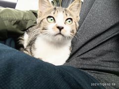 -芭比堂宠物医院·全科爱猫医院·仁德分院