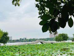 -济南大明湖景区
