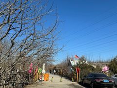 -香木香羊(小汤山店)