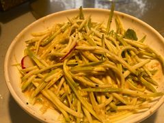 -新侨小馆(东直门北小街店)