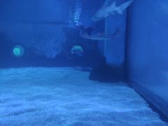 -常州海昌海洋探索馆