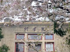 -武汉大学-樱园