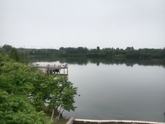 -西安浐灞国家湿地公园