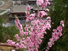 -仁寿山